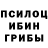 Псилоцибиновые грибы мицелий Justinas 745