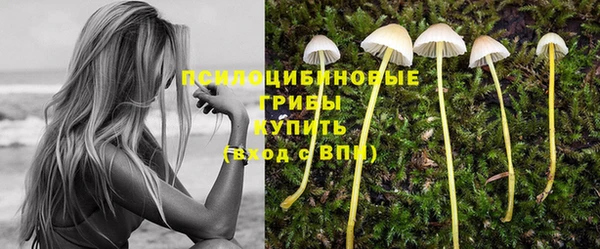 мескалин Аркадак