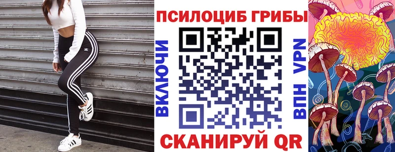 Псилоцибиновые грибы мухоморы  дарк нет какой сайт  Арск  как найти наркотики 